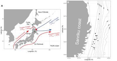 Influences of Ocean Currents on the Diets of Demersal Fish Communities in the Western North Pacific Revealed by Their Muscle Carbon and Nitrogen Isotopic Compositions